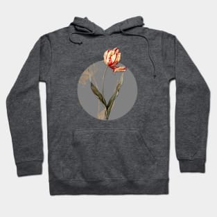 Vintage Didier's Tulip Botanical Illustration on Circle Hoodie